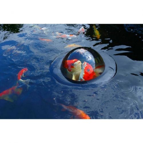 Velda fish dome M - afbeelding 1
