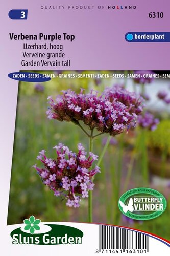 Verbena Bonariensis zaden Purple Top ijzerhard