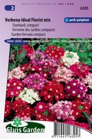Verbena zaden Ideal Florist Mix ijzerhard