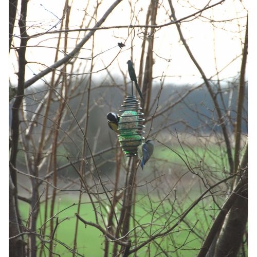 Vetbol voederveer winterkoning - afbeelding 2