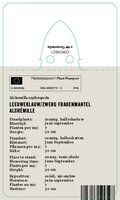 Vips Alchemilla erythropoda - Vrouwenmantel - afbeelding 2