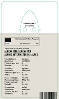 Vips Aster alpinus Dunkle Schone - Alpenaster - afbeelding 2