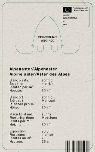 Vips Aster alpinus Happy End - Alpenaster - afbeelding 2