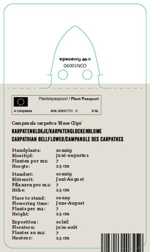 Vips Campanula carpatica Blaue Clips - Kluwenklokjesbloem - afbeelding 2