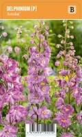 Vips Delphinium (P) Astolat - Ridderspoor - afbeelding 1