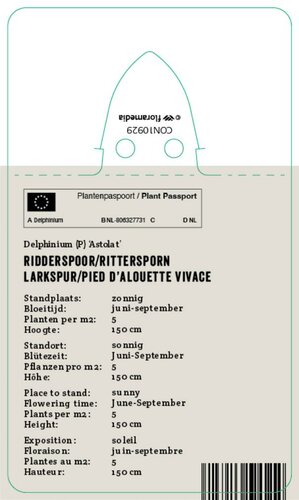 Vips Delphinium (P) Astolat - Ridderspoor - afbeelding 2