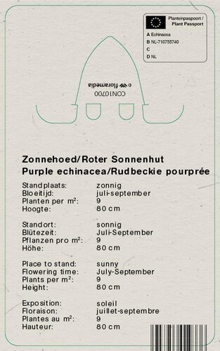 Vips Echinacea Doubledecker - Zonnehoed - afbeelding 2