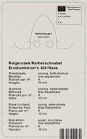 Vips Erodium reichardii Album - Reigersbek - afbeelding 2