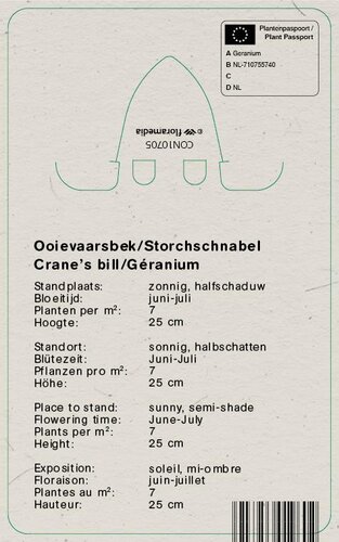 Vips Geranium cantabrigiense St. Ola - Ooievaarsbek - afbeelding 2