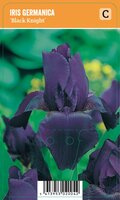 Vips Iris germanica Black Knight - Baardiris - afbeelding 1