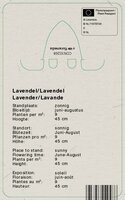 Vips Lavandula angustifolia Munstead - Lavendel - afbeelding 2