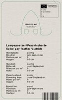 Vips Liatris spicata Floristan Weiss - Lampepoetser - afbeelding 2