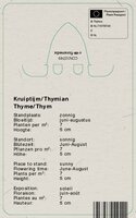 Vips Thymus praecox Coccineus - Kruiptijm - afbeelding 2