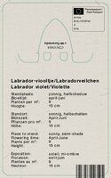 Vips Viola labradorica - Labrador-viooltje - afbeelding 2