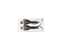 Vogel foam grijs 15 cm 2 stuks