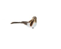 Vogel op clip foam 6 cm bruin met licht bruine kop