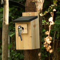 Vogelbescherming nestkast Kolding - afbeelding 3