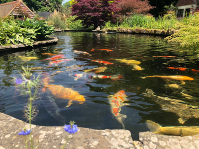 Watermiddelen