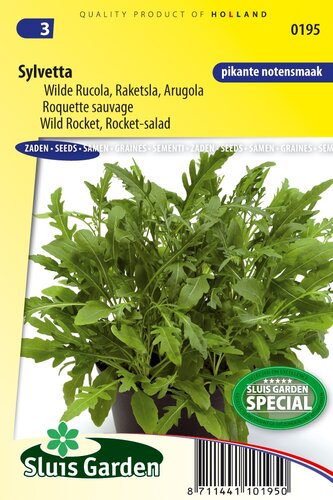 Wilde Rucola Sylvetta zaden