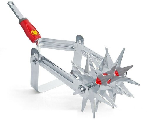 Wolf multi-star tuinfrees da-s