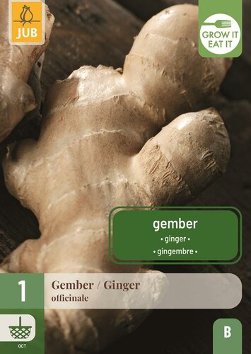 Zingiber officinale gember
